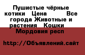 Пушистые чёрные котики › Цена ­ 100 - Все города Животные и растения » Кошки   . Мордовия респ.